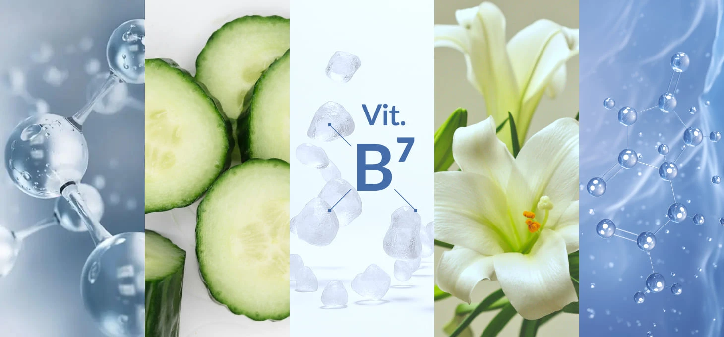 „Activeshop Syis NeuroCalm“ gelis – peptidinis gelis rankiniam masažui, sonoforezei ir jontoforezei, 500 ml aprašymas - Prekės nuotrauka „Activeshop Syis NeuroCalm“ gelis – peptidinis gelis rankiniam masažui, sonoforezei ir jontoforezei, 500 ml aprašymas - Prekės nuotrauka