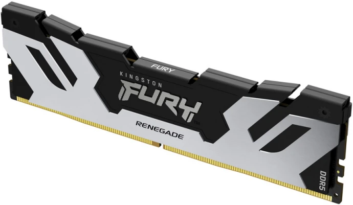 RAM Kingston KF564C32RS-48 48GB 6400MT/s DDR5 CL32 DIMM FURY Renegade Sidabrinis XMP | Kingston
