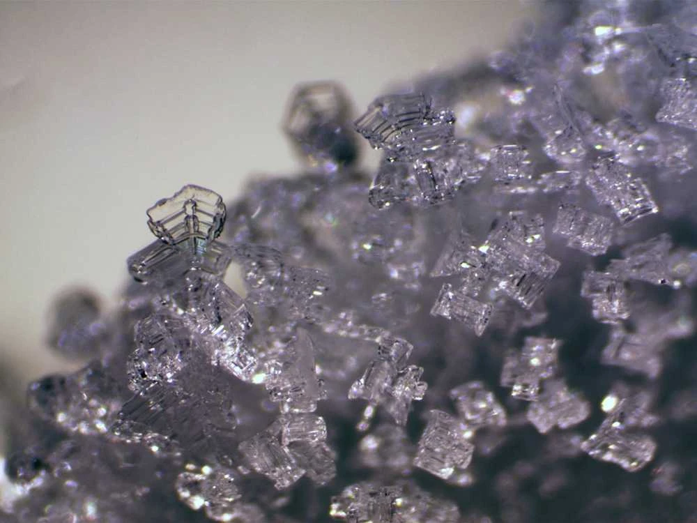 Dėlionė Stereomikroskopas BRESSER ERUDIT ICD (30.5)