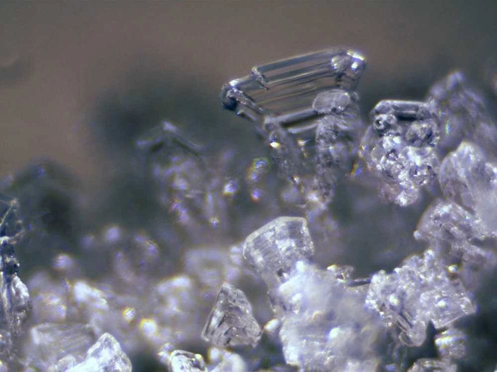 Dėlionė Stereomikroskopas BRESSER ERUDIT ICD (30.5)