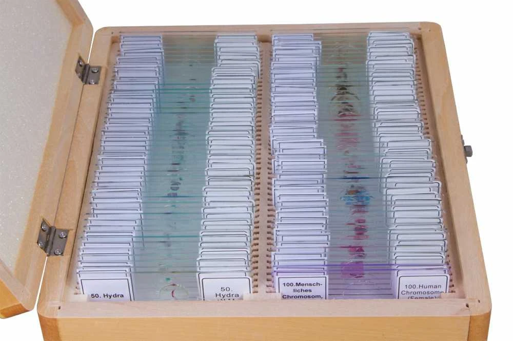 Parengtos skaidrės: 100 vnt Box BRESSER