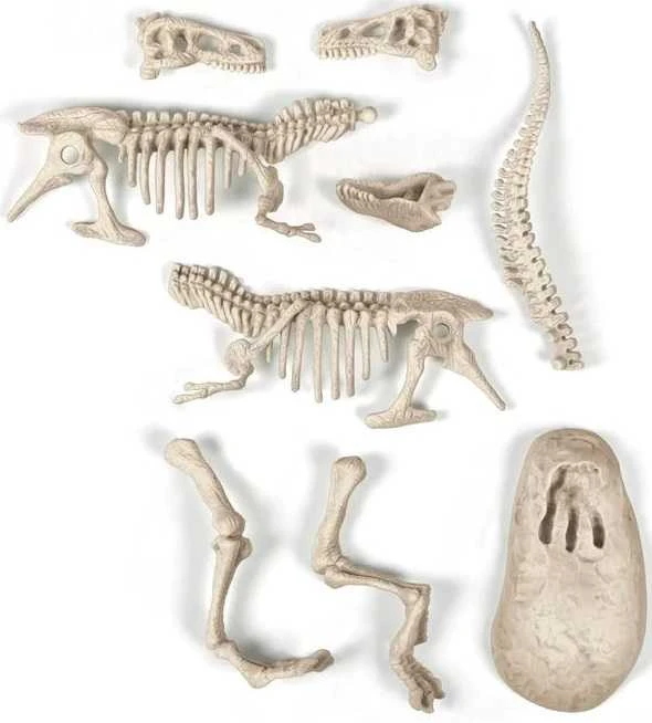 Jaunojo archreologo rinkinys Clementoni T-REX, šviečia tamsoje