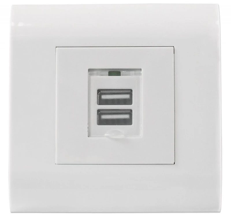 Intellinet 772211 šakutės lizdas USB A Balta