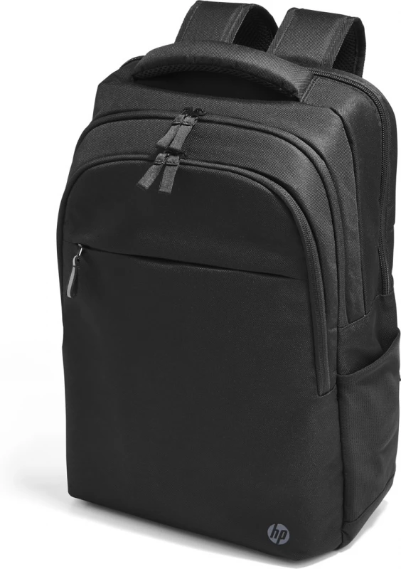 Hewlett Packard (HP) HP Professional 17.3 kuprinė su RFID/Bluetooth sekiklio kišene – juoda