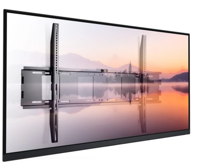 Techly Laikiklis televizoriui 55–100 colių LED/LCD, 150 kg, plonas, 36 mm