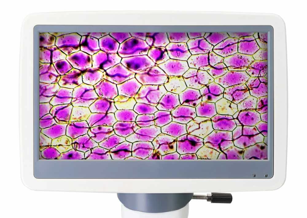Levenhuk D85L LCD skaitmeninis mikroskopas