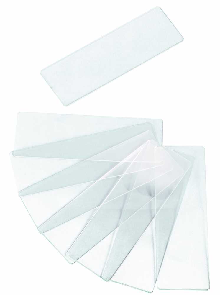 Levenhuk G50 2H Double Cavity Blank Slides, 50 vnt