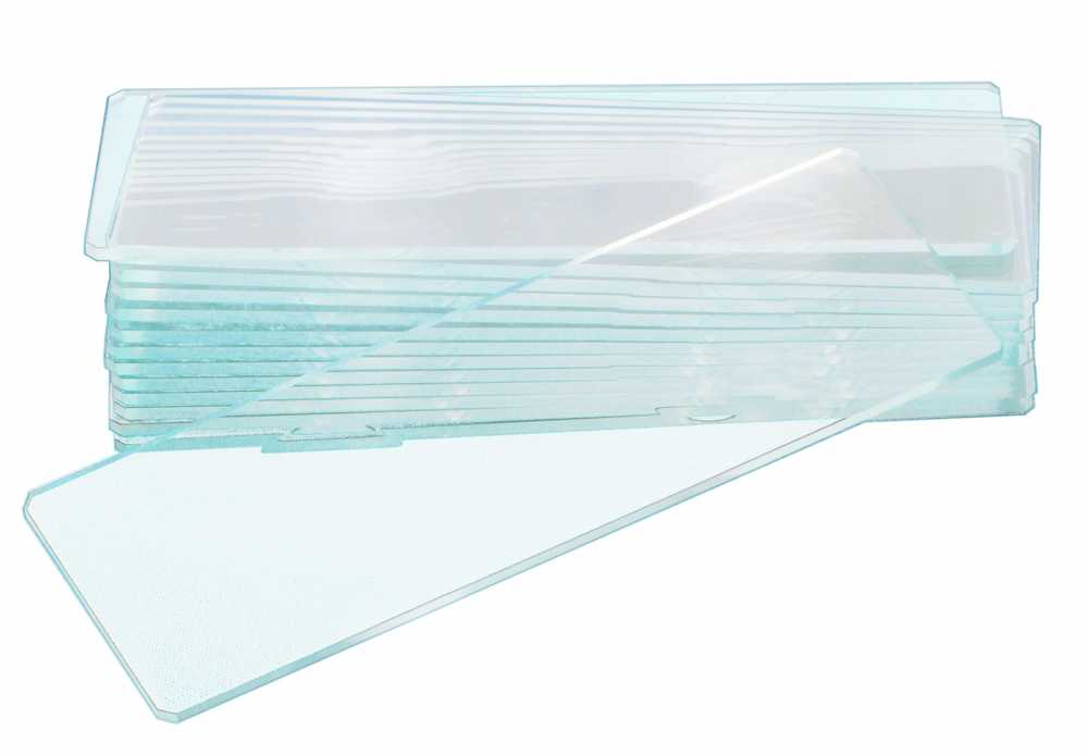 Levenhuk G50 2H Double Cavity Blank Slides, 50 vnt