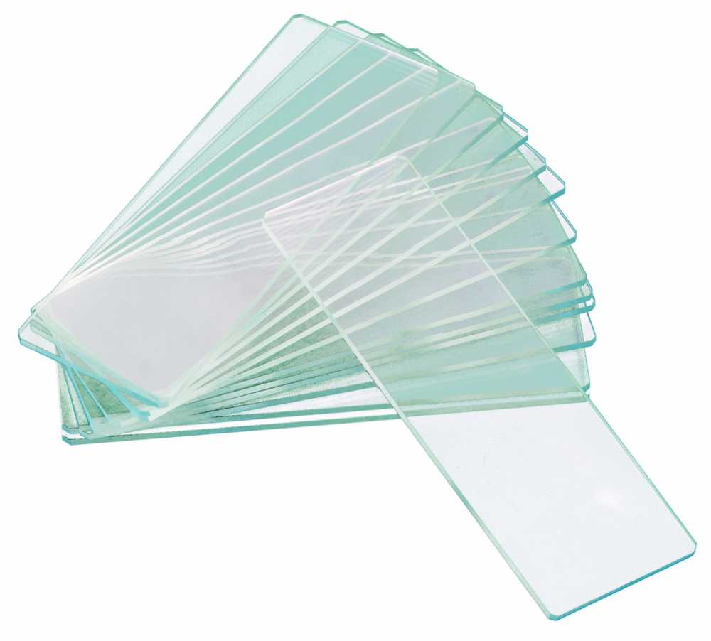 Levenhuk G50 2H Double Cavity Blank Slides, 50 vnt