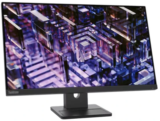 Monitorius Lenovo ThinkVision E24q-30