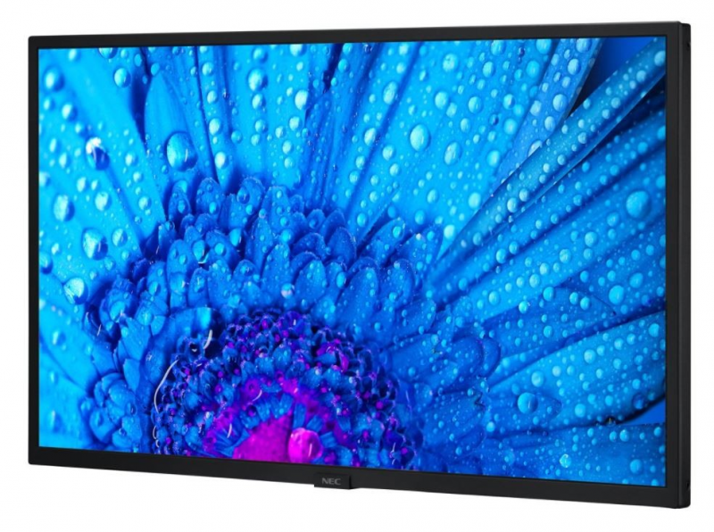 NEC MultiSync M321 32" Basic Business Monitorius