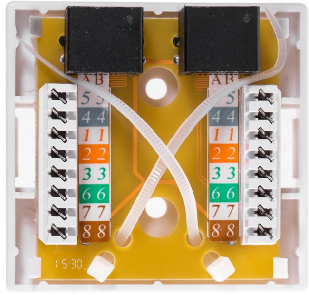 NETRACK 106-21 Netrack sukomplektuotas ant paviršiaus montuojamas lizdas 2xRJ45 8p8c UTP Cat6 LSA