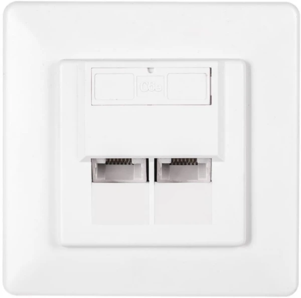 NETRACK 106-24 „Netrack“ pilnas įleidžiamas išleidimo anga 2xRJ45 8p8c UTP Cat6