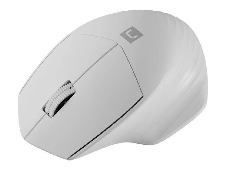 NATEC Belaidė pelė Siskin 2 1600DPI Bluetooth 5.0 + 2.4Ghz baltas