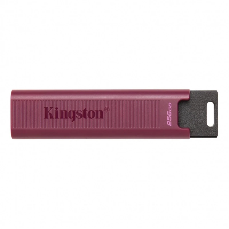 Kingston DataTraveler MAX 1TB USB 3.2 USB-A