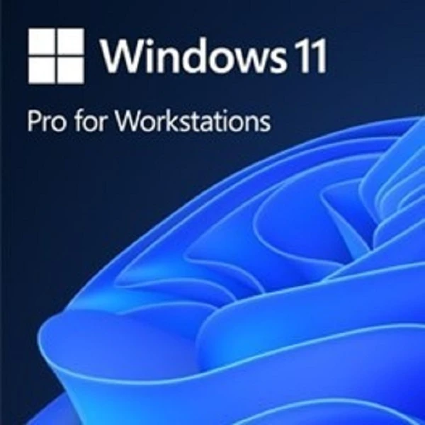 Microsoft „Oem win Pro“, skirtas wrkstns 11 pl x64 hzv-00117