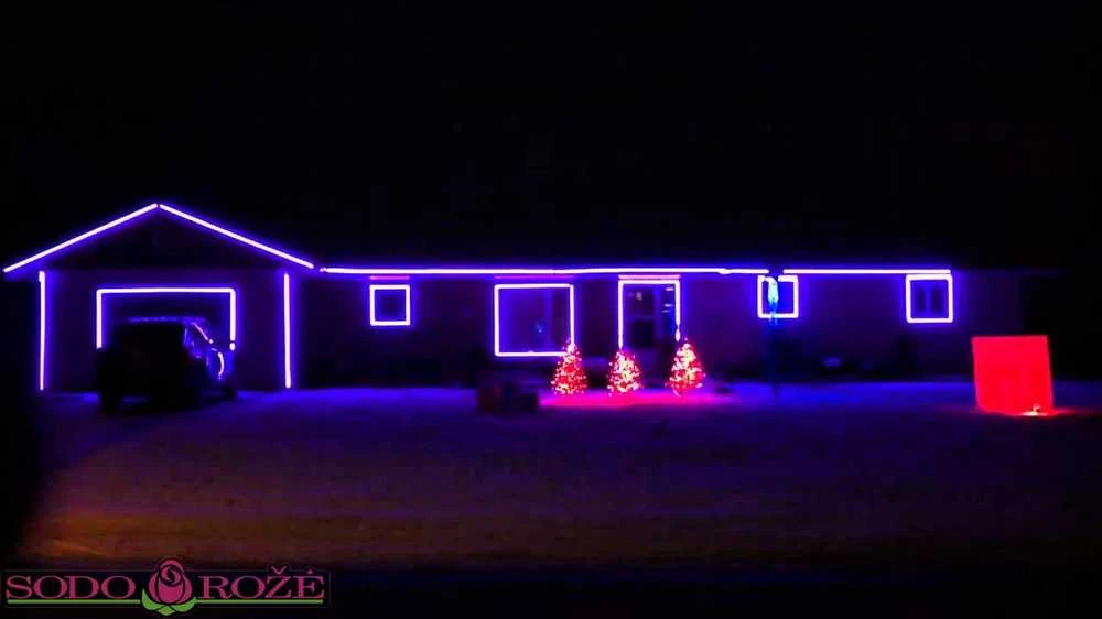 Polamp PRO LED žarna mėlyna
