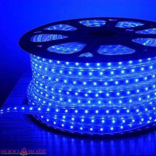 Polamp PRO LED žarna mėlyna