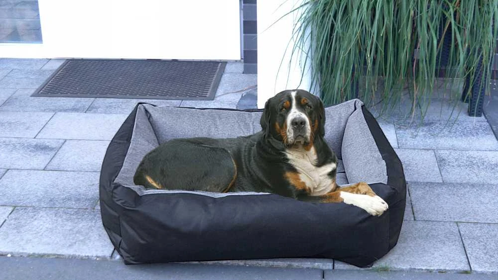 Gultas, sofa šuniui, minkštas guolis, 120x90