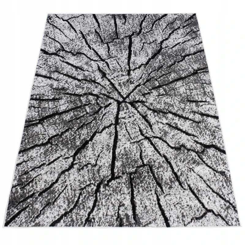 Dywany Chemex Sma Chemex Modernių Raštų Kilimas 160x220 BCF LUXURY SOFT