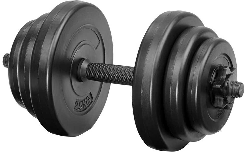 2 Tytan mankštos hanteliai 2x10kg