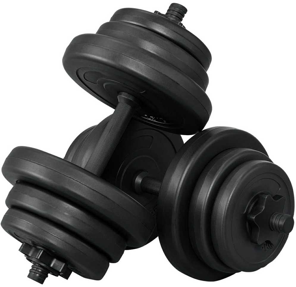 2 Tytan mankštos hanteliai 2x10kg