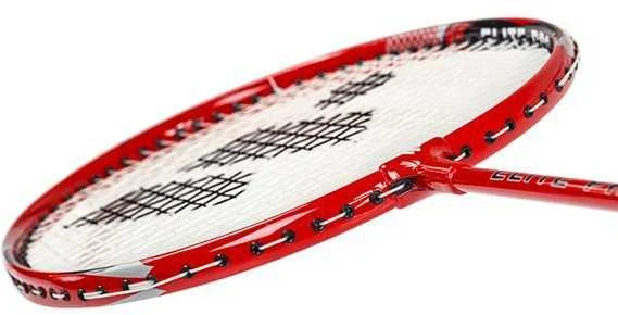 ALUMTEC 5566 BADMINTONO RINKINYS RAUDONAS + MĖLYNAS 4 Vnt. + langinės 3 Vnt.