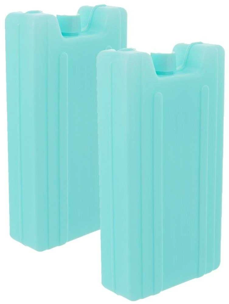 Aušinimo įdėklas kelioniniam aušintuvui, termo maišelis, rinkinys 2, 2x410g