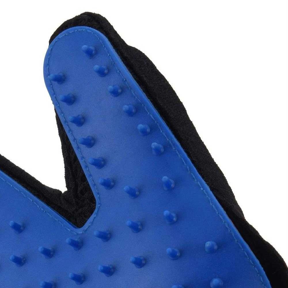 Blue Mėlynas SPIKES PIRŠTINĖ ŠUNUI/KAČIUI