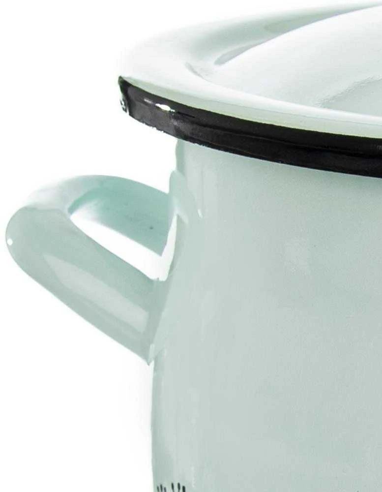 Emaliuotas gėlių vazonas, 16 cm, dengtas dujų indukcija