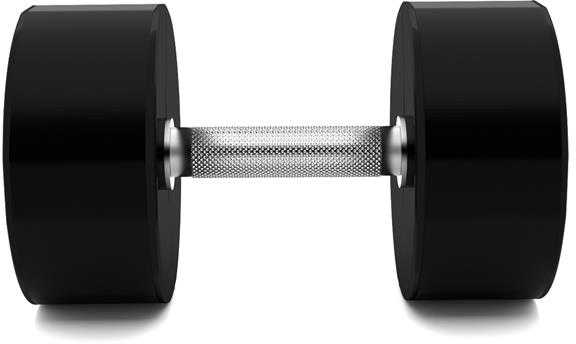 HPC 32,5kg poliuretano hantelio CPU HMS