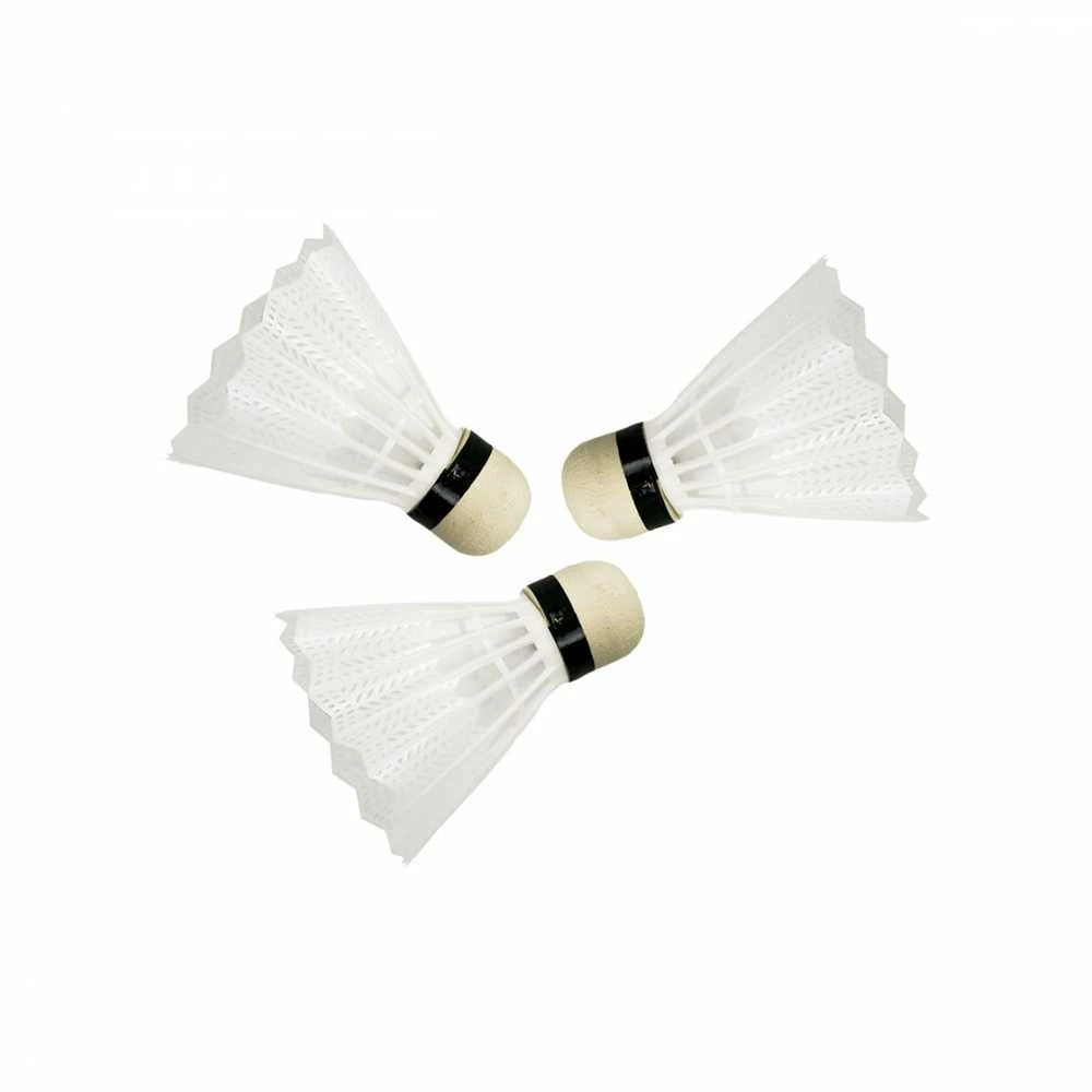 MASTER Fly 2 badmintono rinkinys