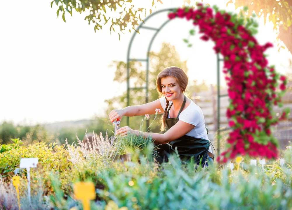 Metalinė arkinė pavėsinė, juoda, 240 cm