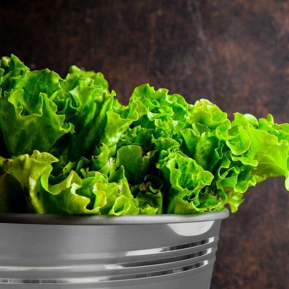 Nerūdijančio plieno maisto kibiras 5 l