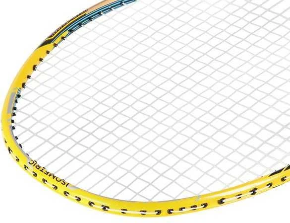 NR419 CARBON / BADMINTON ROCKET + NILS COVER