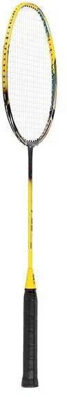 NR419 CARBON / BADMINTON ROCKET + NILS COVER