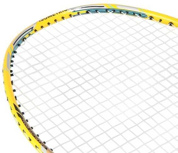 NR419 CARBON / BADMINTON ROCKET + NILS COVER