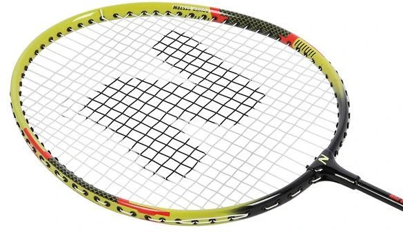 NRZ204 ALIUMINIO / BADMINTONO RINKINYS + NILS DANGAS
