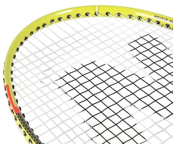 NRZ204 ALIUMINIO / BADMINTONO RINKINYS + NILS DANGAS