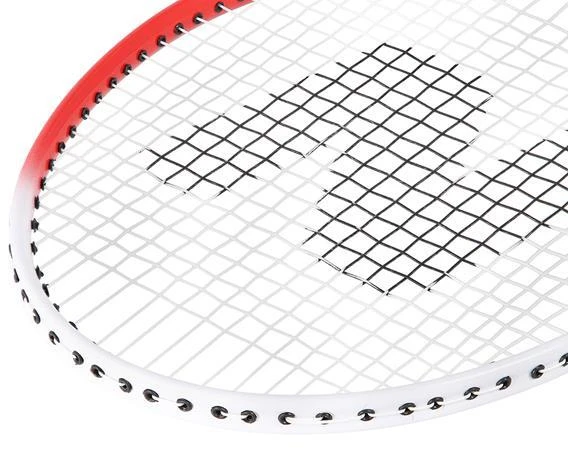 NRZ205 ALIUMINIO / BADMINTONO RINKINYS + NILS UŽDANGALAS