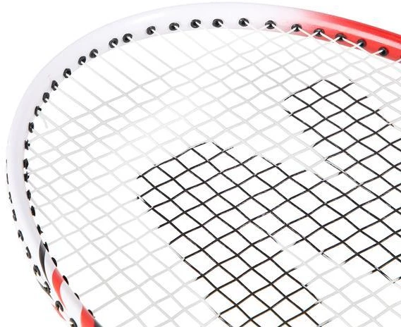 NRZ205 ALIUMINIO / BADMINTONO RINKINYS + NILS UŽDANGALAS