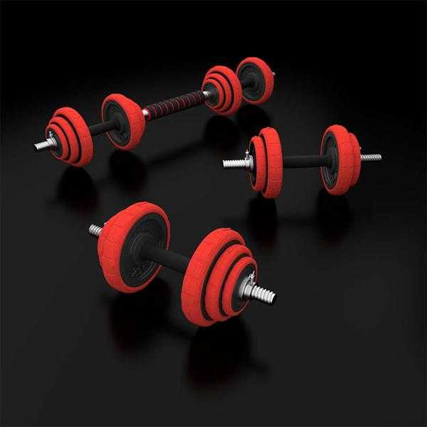 SGGX20 GUMINIAI DAMPbells 20KG HMS