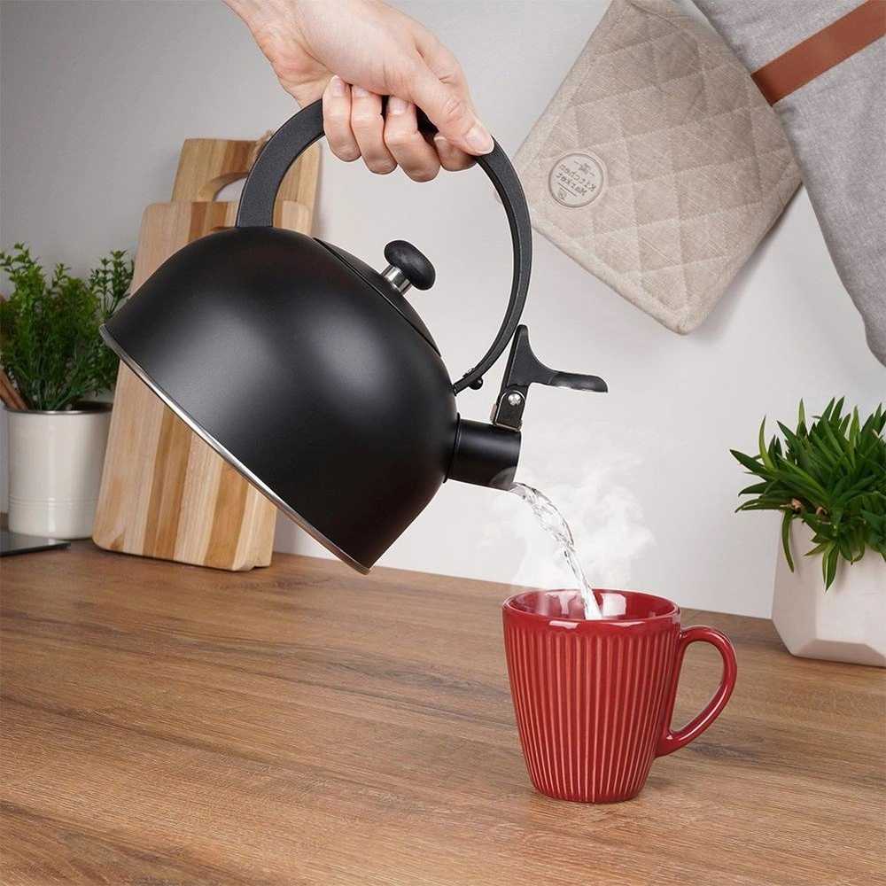 Švilpimo virdulys, plieno, juodas, 2 l