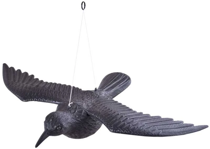 Varnas skrendantis – atgrasantis balandžius ir kitus paukščius