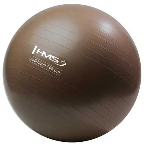 YB02 65 cm ANTI SPRŪGIMAS RUDAS GRIZZLY HMS GIMNASTINIS Kamuolys