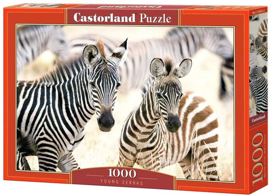 Castorland dėlionė Young Zebras 1000 det