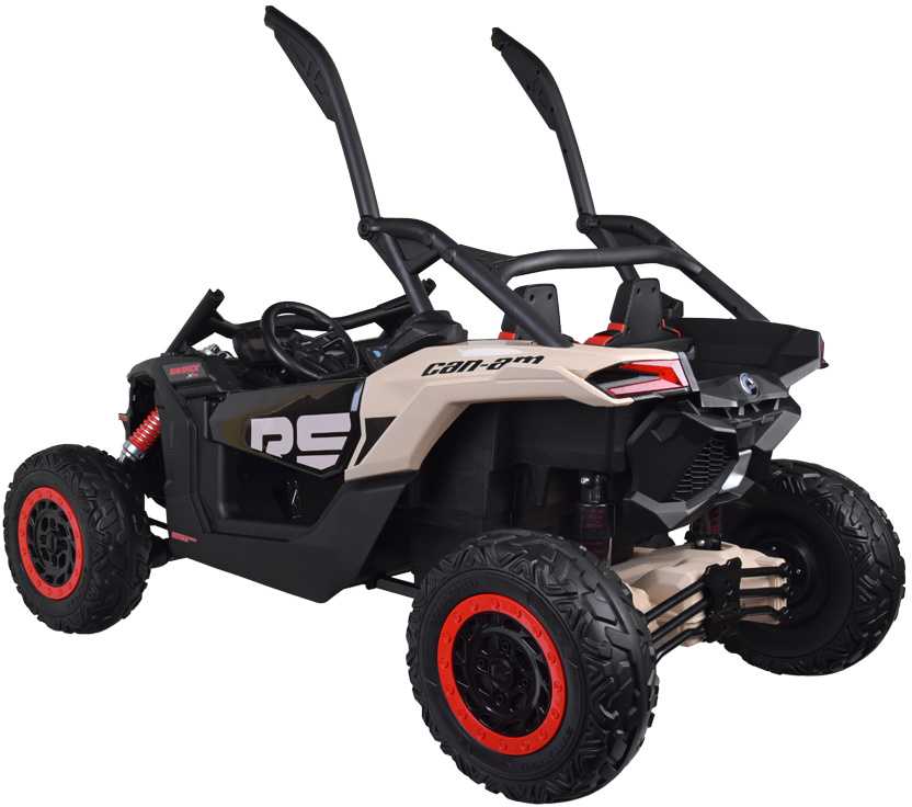 Jokomisiada 2 asmenų Buggy Can-am Maverick visureigis PA0287