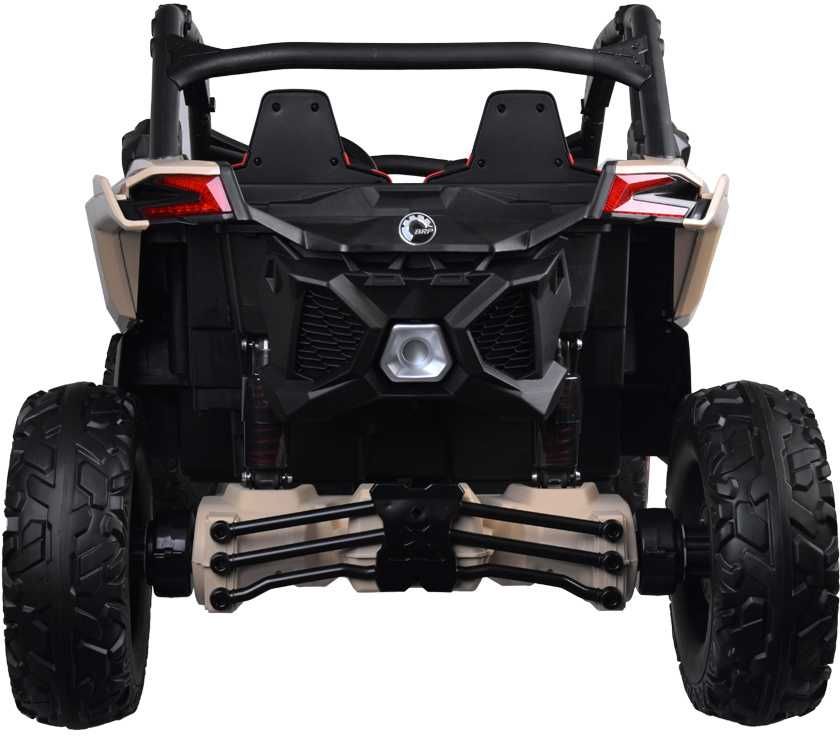 Jokomisiada 2 asmenų Buggy Can-am Maverick visureigis PA0287
