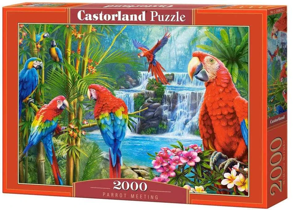 Castorland Dėlionė 2000 vnt. - Papūgų susirinkimas