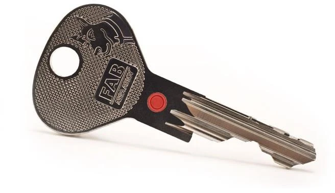 Abloy RUOŠINYS RAKTŲ 200RS RRS1 FA207GG074.100